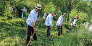 Clacă de coasă la Muzeul Satului din Baia Mare