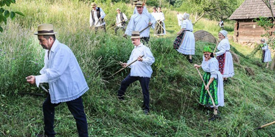 ”Clacă de coasă” la Muzeul Satului