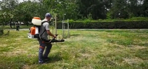 Acțiune de dezinsecție la Tăuții Măgherăuș: intervenție pentru combaterea țânțarilor și căpușelor