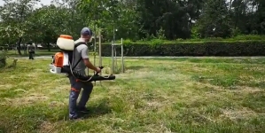 În Baia Mare: Campanie de dezinsecție pentru combaterea țânțarilor și căpușelor