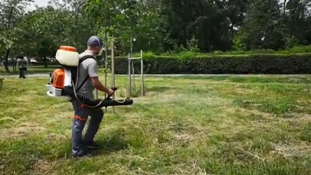 Campanie de dezinsecție pentru combaterea țânțarilor în Baia Mare