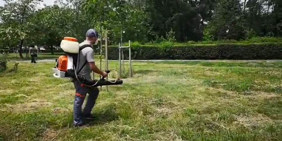 În Baia Mare: Campanie de dezinsecție pentru combaterea țânțarilor