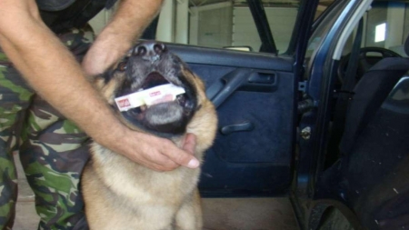 Focuri la pneuri, câine demascator și amendă dublă față de valoarea țigărilor traficate