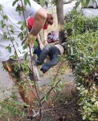 A revenit căldura, s-au îndesit iar accidentele (GALERIE FOTO și VIDEO)