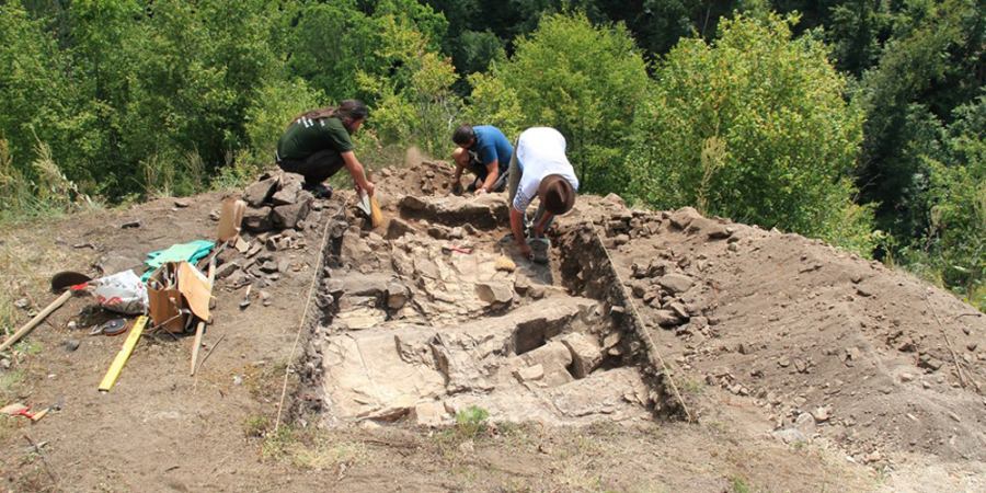 Fragmente ceramice, oase de animale și unelte de fier au fost descoperite la Sălnița – „Custura Cetățele” în urma unor cercetări arheologice