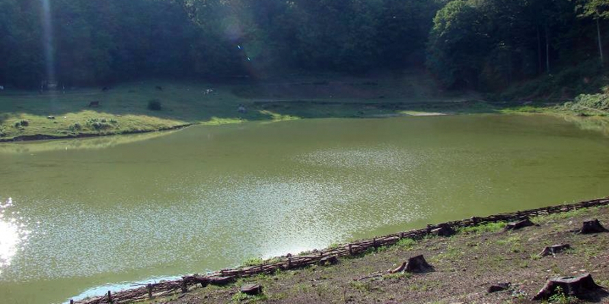 Concurs de pescuit la Lacul Nistru