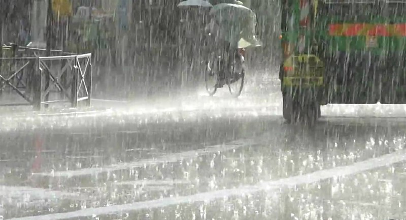 Cod galben de ploi la munte