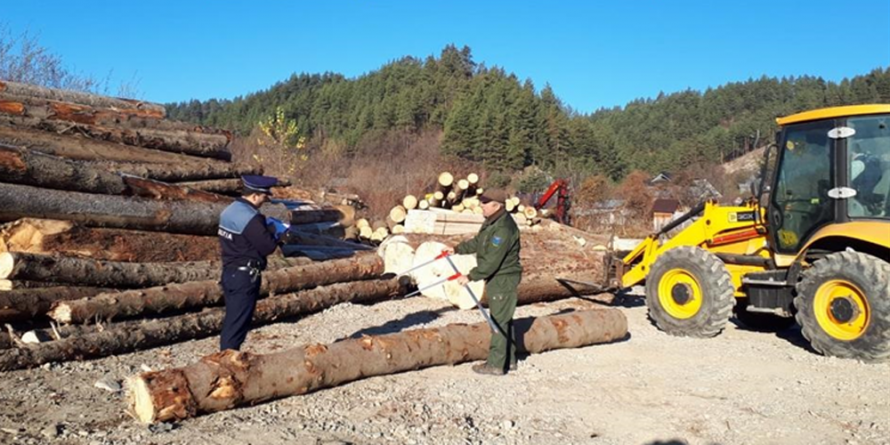 Supracontrolul forestier: amenzi de 220.000 de lei și 586.000 de lei – valoarea materialului lemnos confiscat