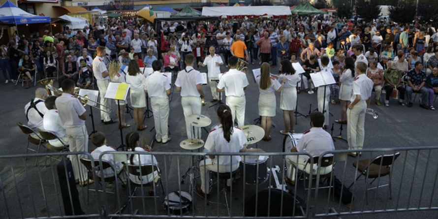 Zilele orașului Seini