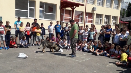 Un câine (de) VIS a venit la copiii din tabăra de vară de la Dumbrăvița