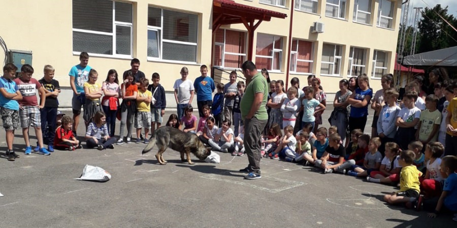 Un câine (de) VIS a venit la copiii din tabăra de vară de la Dumbrăvița