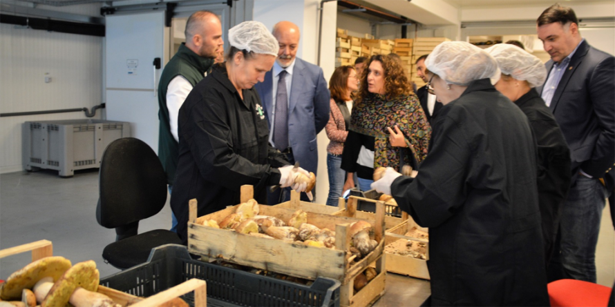 &#8222;Festivalul hribilor&#8221;, la a doua ediție (GALERIE FOTO)