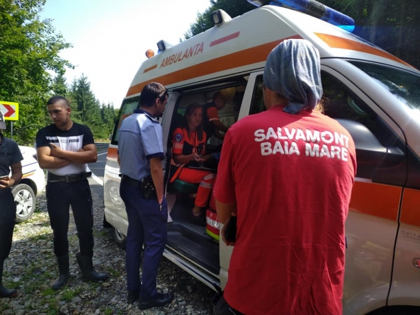 Muncitor forestier rănit după ce un copac a căzut peste el