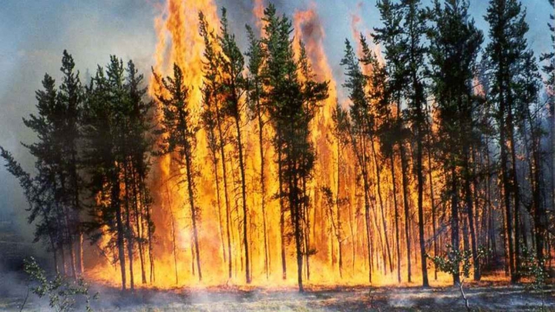 Atenționare de călătorie în Grecia – risc ridicat de incendii de vegetație