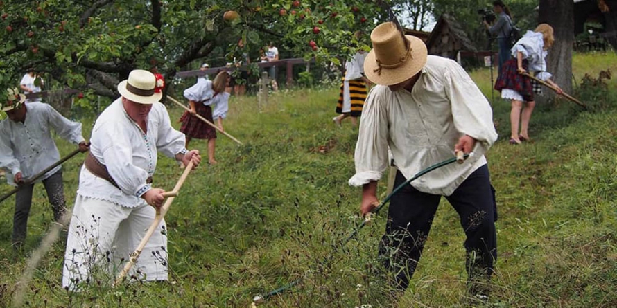 A treia încercare a fost cu noroc: “Claca de coasă” s-a ținut la Muzeul Satului (GALERIE FOTO)