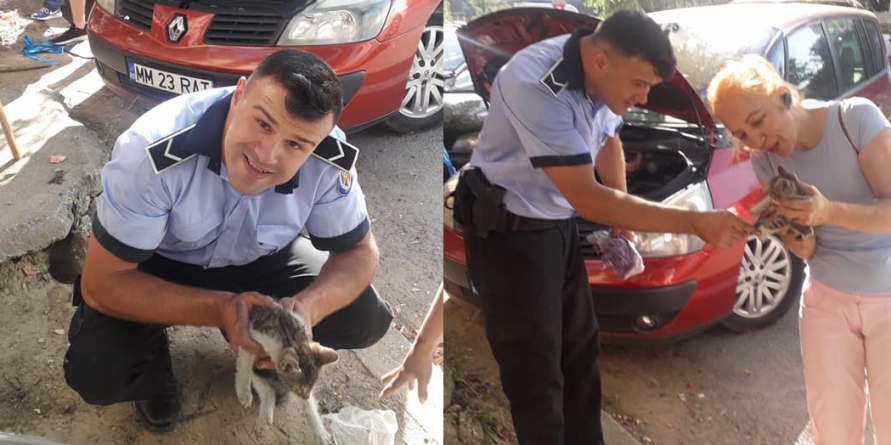 După ce a fost salvată, o micuța felină așteaptă să fie adoptată