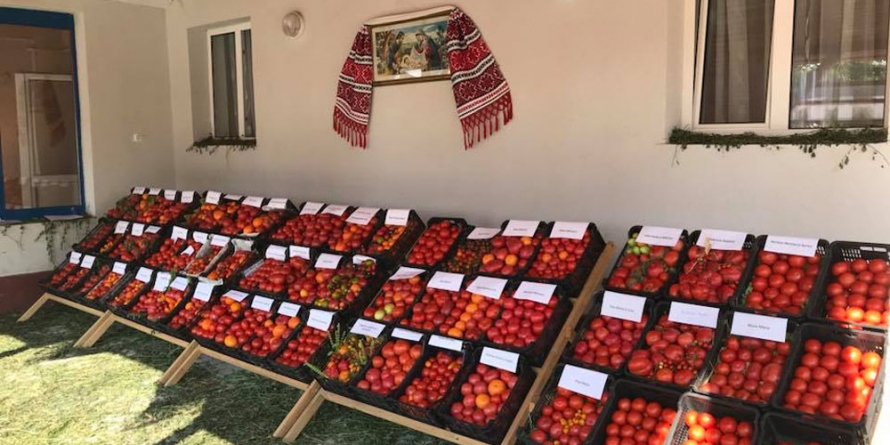 Festivalul porodicilor, la Mocira