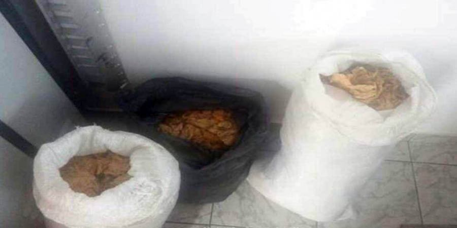 Un maramureșean s-a ales cu dosar penal după ce a vrut să introducă în țară aproape 37 kg de tutun