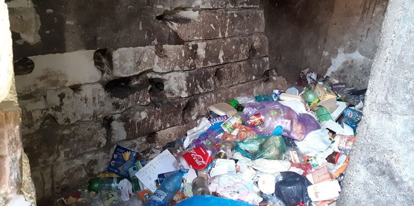 În plin centrul Băii Mari, șobolanii rod țevile henco ale instalațiilor de apă și încălzire