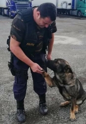 Presupusul dispărut se  plimba liniștit prin pădure, când a fost depistat de câinele polițist