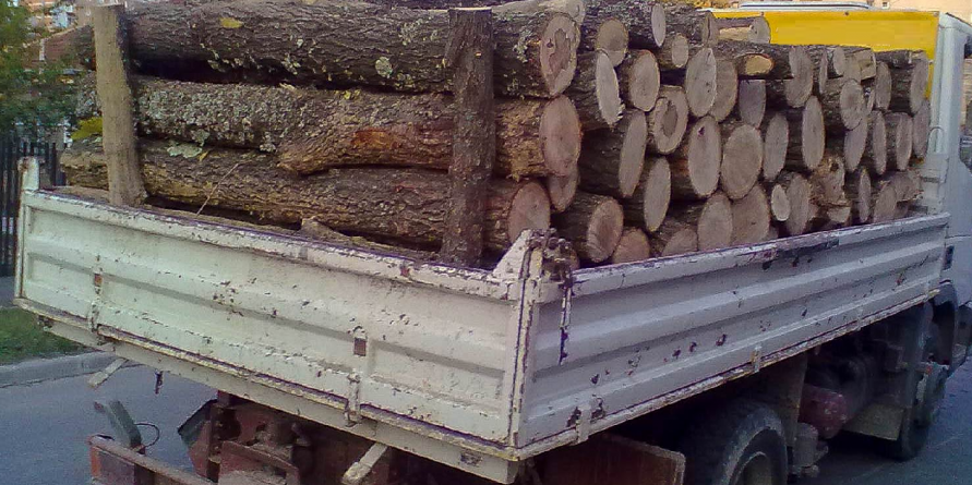 S-au ales cu amendă pentru că transportau lemne fără aviz de provenienţă
