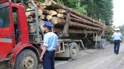 Amendă de 10.000 de lei pentru transport de lemn fără documente
