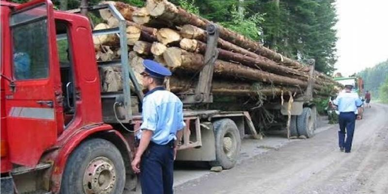 Amendă de 10.000 de lei pentru transport de lemn fără documente