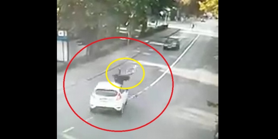 Nu mai încap mașinile una de alta, nici măcar pe autostradă (VIDEO)