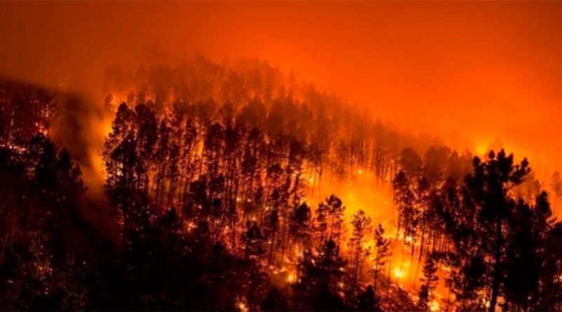 MAE, atenţionare de călătorie – risc maxim de incendii de vegetaţie