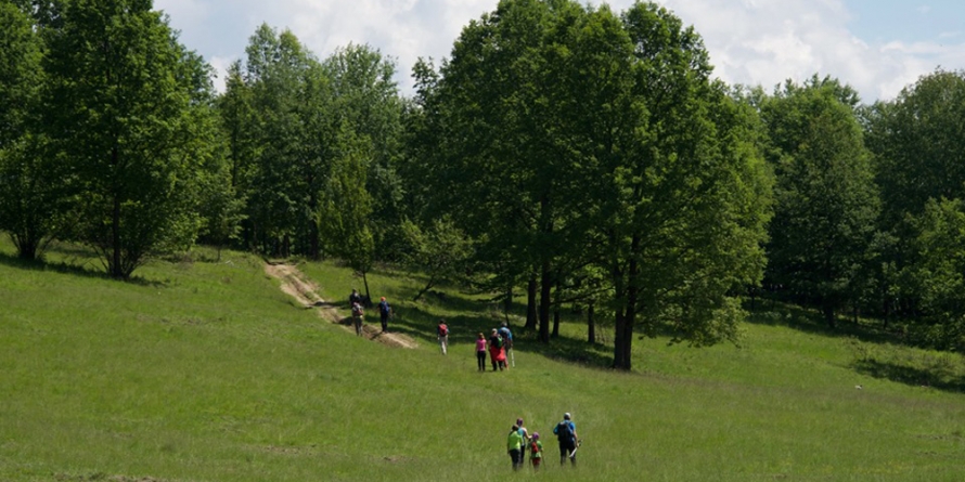 Drumeție pe Piemontul Văratecului – Munții Lăpușului