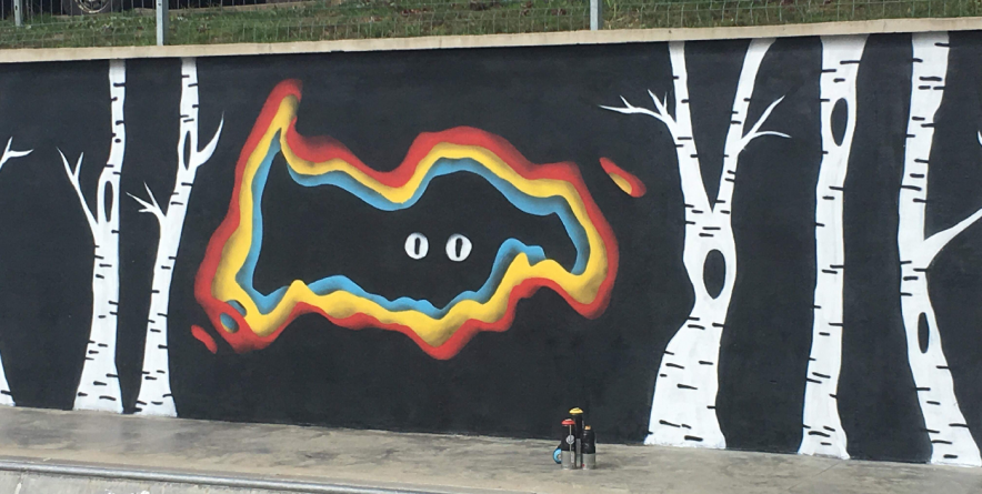 Două noi picturi murale înviorează zonele gri din Baia Mare