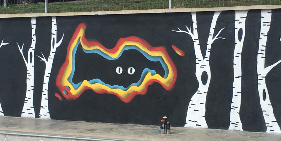 Două noi picturi murale înviorează zonele gri din Baia Mare