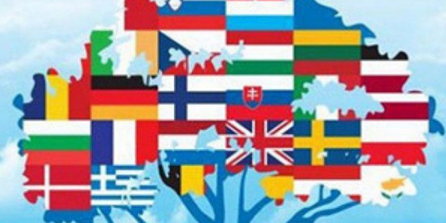 Ziua Europeană a Limbilor, marcată în Baia Mare