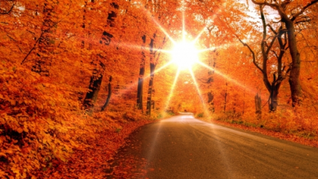 Cum va fi vremea la Castane