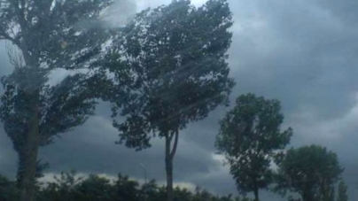 Vântul a făcut ravagii în Baia Mare: Un copac a căzut peste un bărbat, iar un acoperiș peste mai multe mașini