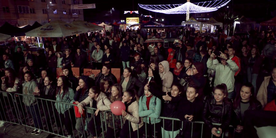 Voie bună la „Toamna Someşeană” din Ulmeni (GALERIE FOTO)