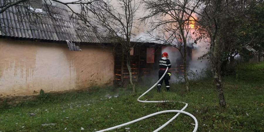 O răfuială între doi frați, cu tentativă la omor, ultraj, distrugere, uz de armă fără drept