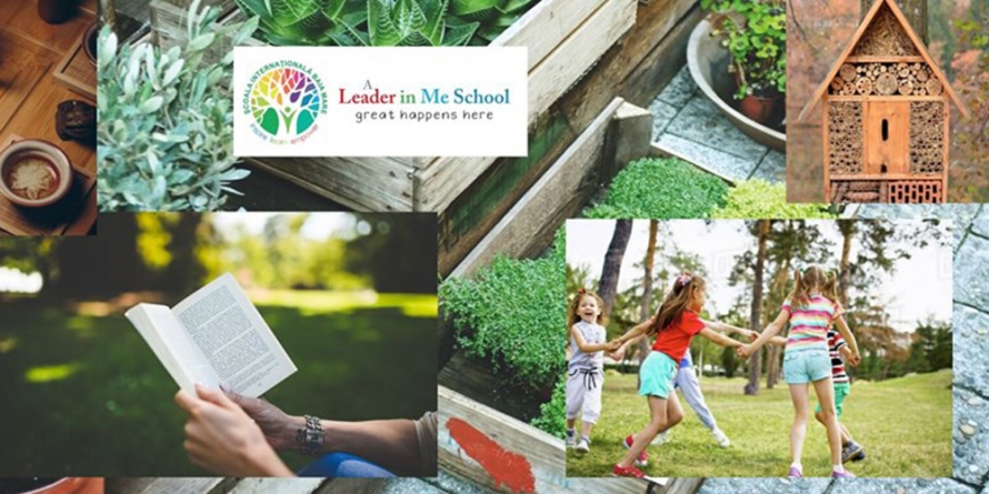 Ateliere de grădinărit la Școala Internațională Baia Mare