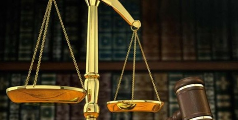 Dedesubturi privind daunele interese