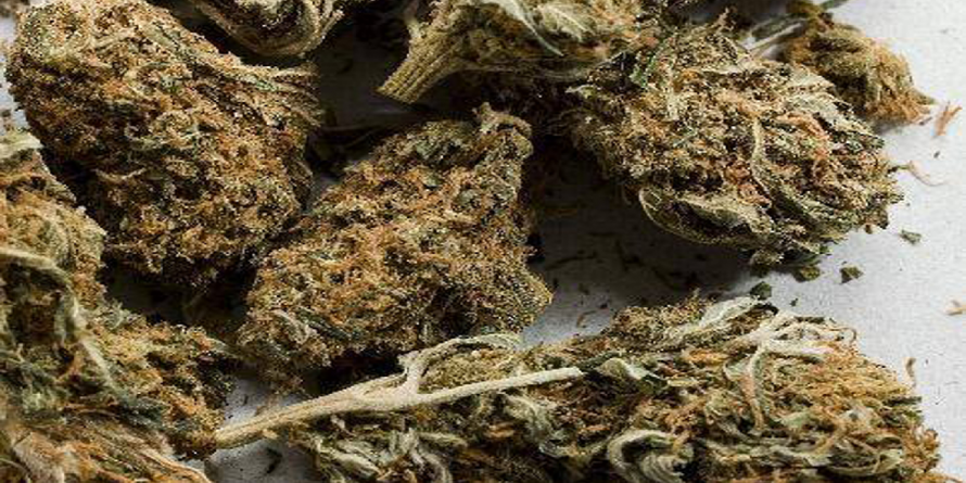 Arestați pentru trafic de droguri de risc cu…. riscul de a face șapte ani de închisoare (VIDEO)