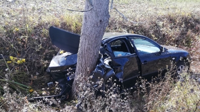 Te-așteaptă un pom, zâmbind răbdător