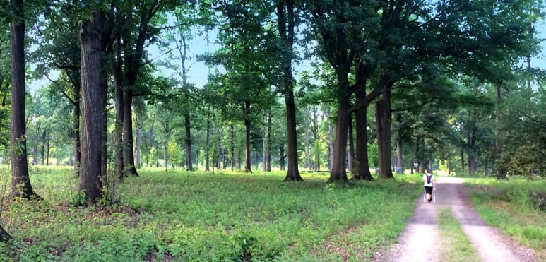 Se plimba noaptea prin parc având la el doar chiloții; atâta doar că-i purta pe cap