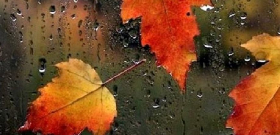 Întrăm în weekend cu ploi moderate