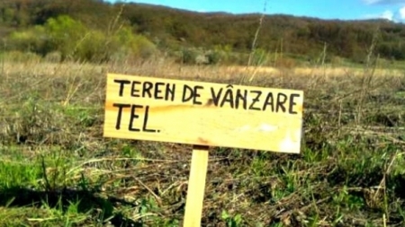 Cum să nu iei țeapă când vinzi sau cumperi un teren