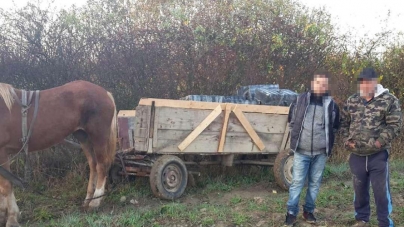 Contrabandă cu căruța, gloanțe trase  cu pușca