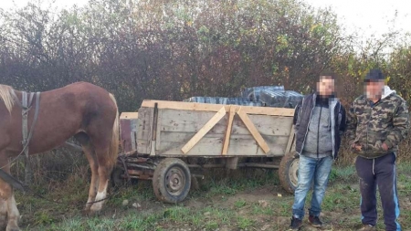 Contrabandă cu căruța, gloanțe trase  cu pușca
