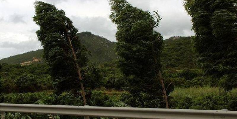 Alertă meteo, cod galben de vânt puternic