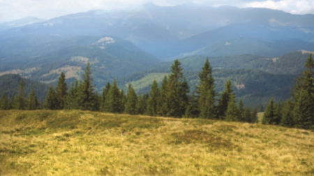 ”Dor de România – Maramureșul și Diaspora” – programul de duminică