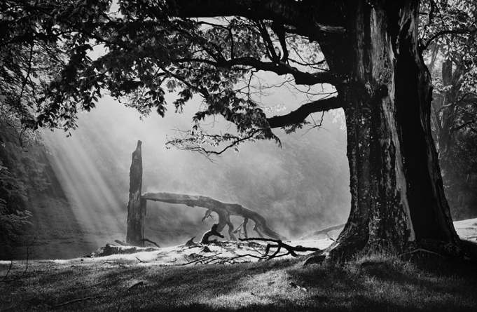 Expoziția de fotografie „Memento mori” în Baia Mare