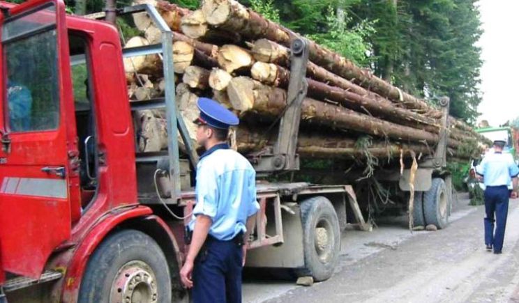 Peste 300 de autovehicule verificate în cadrul acţiunii de combatere a faptelor ilegale din domeniul silvic